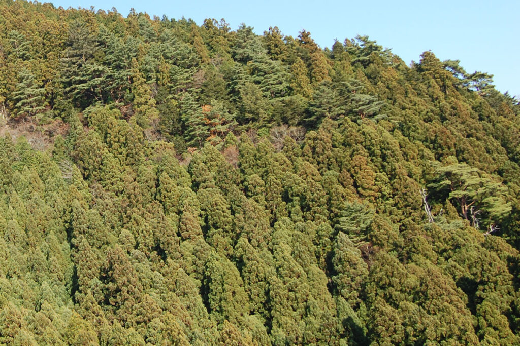 環境配慮型社会実現へ